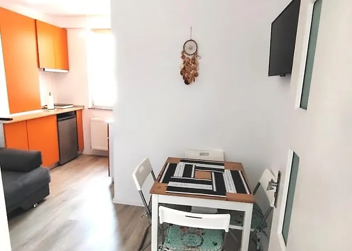 Garsoniera Olivia - Amarilia アパート *