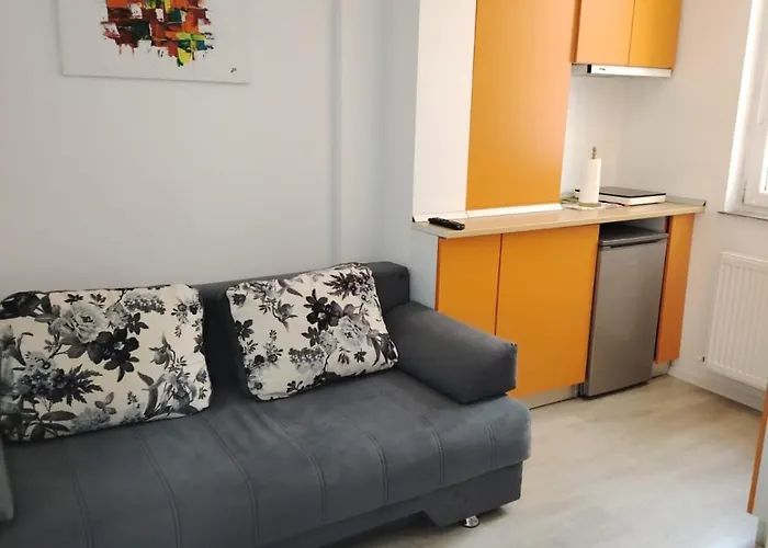 Garsoniera Olivia - Amarilia * ナボダリ